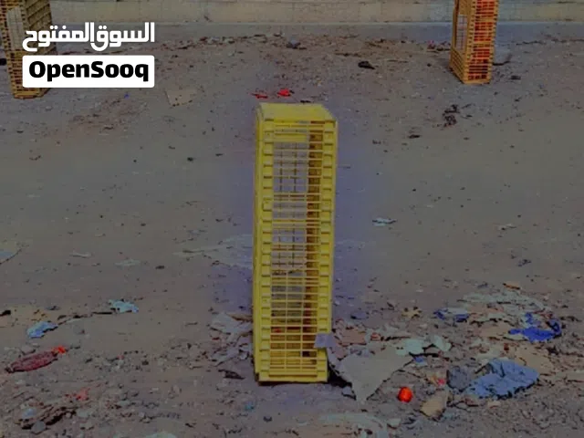 محل دجاج وخضار  للبيع  مسلخ دجاج متكامل للبيع