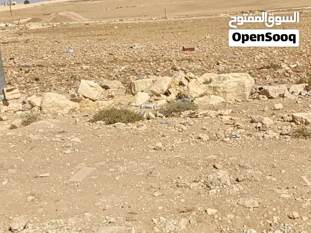 قطعة ارض في الذهيبه كوشان مستقل 1.800 دونم من المالك