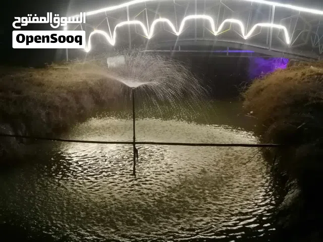 1 Bedroom Chalet for Rent in Basra Shatt Al-Arab