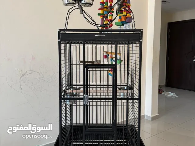 1 month used big cage