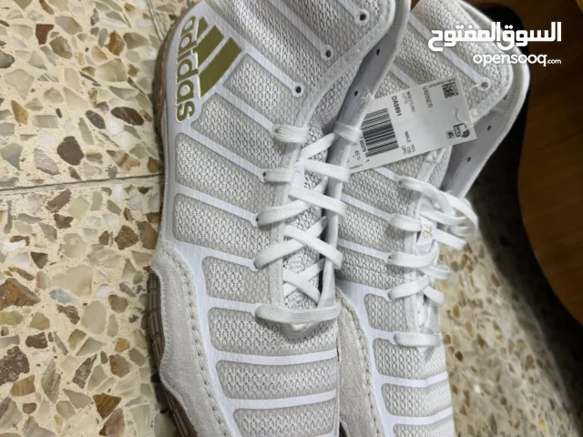 حذاء ملاكمة