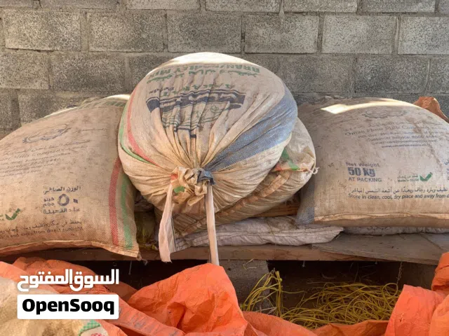 نفيعه جواني كبار