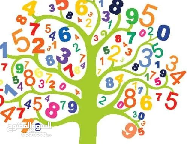 معلم مرحلة ابتدائية وتأسيس