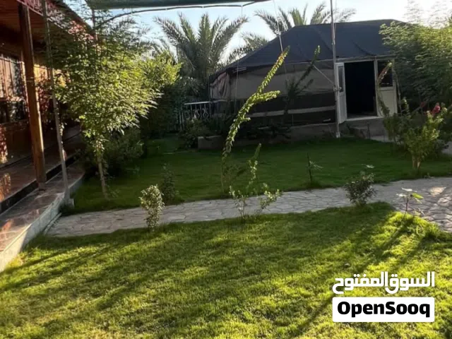مطلوب افراخ دجاج
