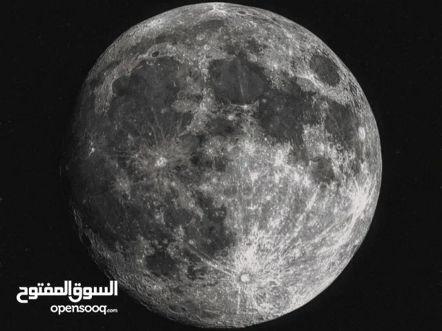 امير وسام