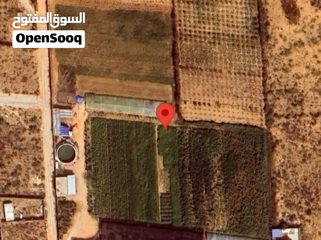 مزعة متكاملة ومشتل في نفس الوقت