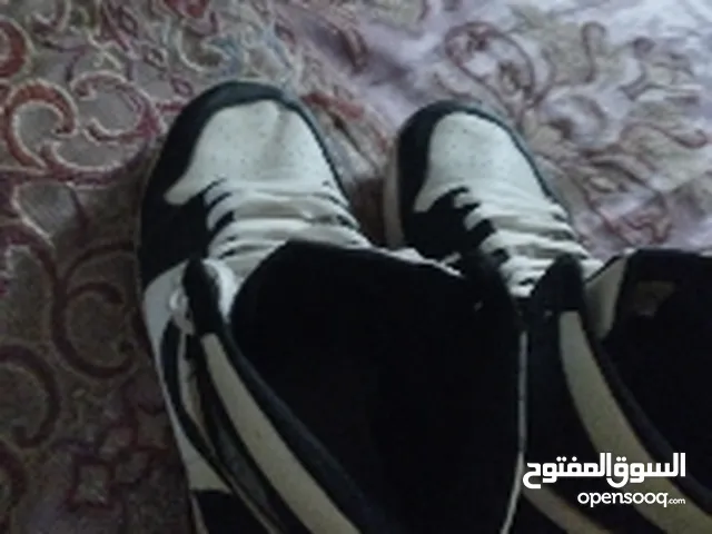 Nike Sport Shoes in Kafr El-Sheikh