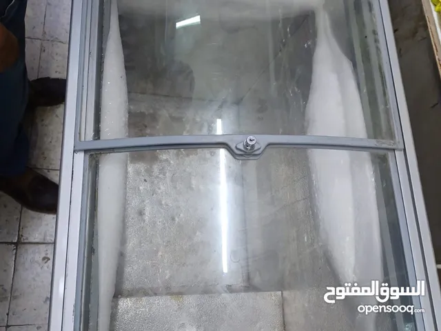 Display commercial Freezer