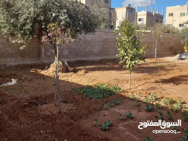 بيت للبيع في الرجم الشامي