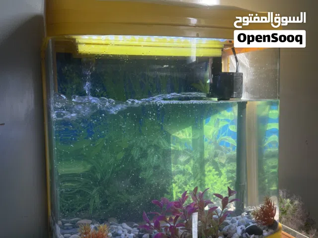 حوض سمك للبيع نظيف جداً استعمال فترة بسيطة البيع بسبب السفر