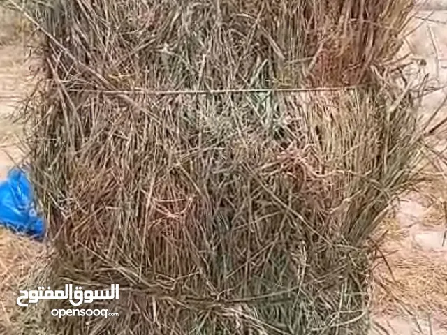 ربطات بلوبنك