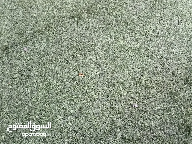 Furnished Monthly in Manama Qudaibiya