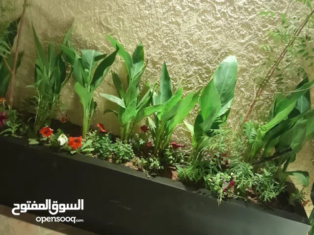 مشتل تنسيق حدائق