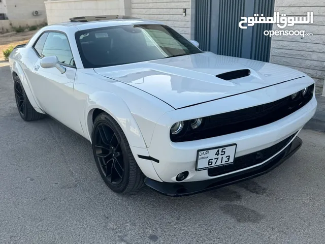 Used Dodge Challenger in Amman
