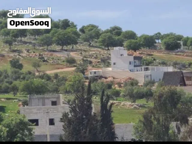 Farm Land for Sale in Zarqa Al-Alouk