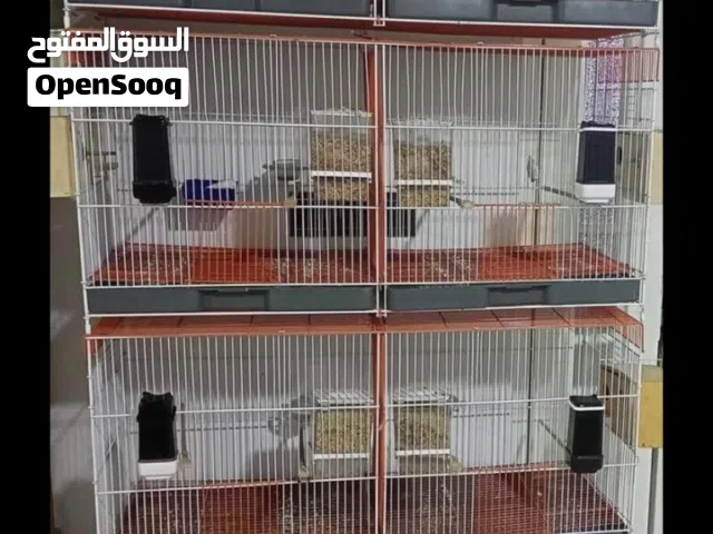 متاح قفص يتكون من 4 طوابق ابو خانتين كلش مرتب اقرى الوصف جوى