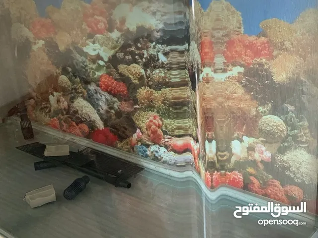 Fish tank for sale in good condition