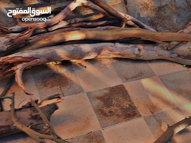 حطب متاح تقريبآ 200 كيلو