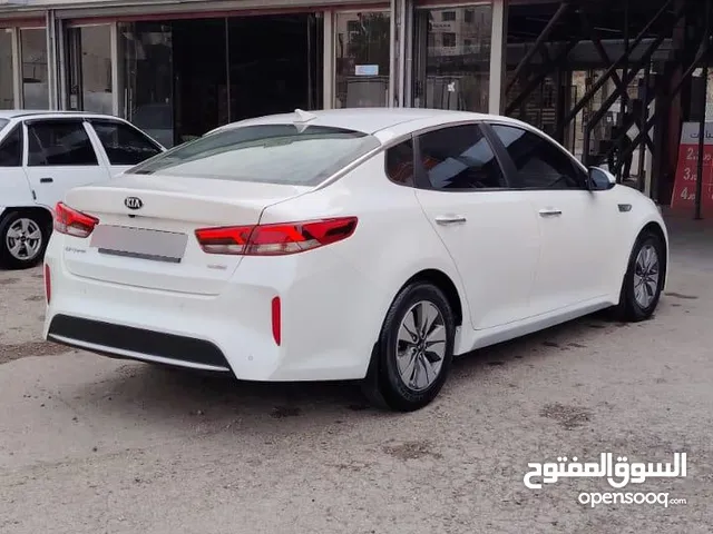 Used Kia Optima in Amman