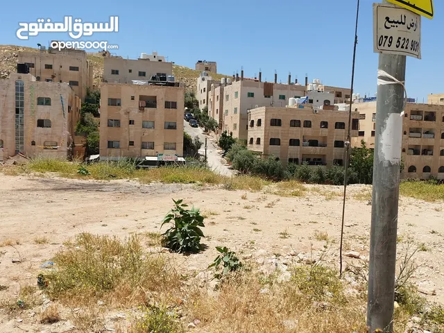 Residential Land for Sale in Amman Adan