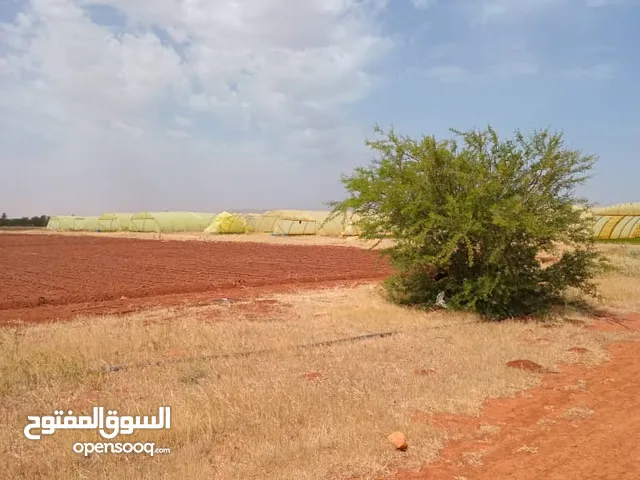 أرض زراعية استثماريه