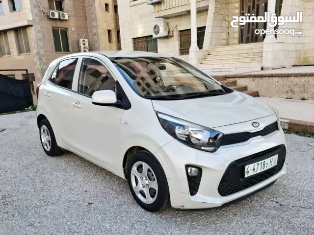 كيا مورنينك 2019