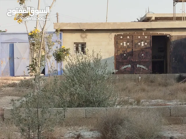 استراحة في بداية شارع الاستراحات على القطران 1000 متر