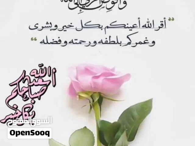 سكن.        مميز