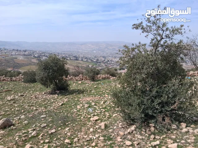 Residential Land for Sale in Amman Abu Nsair