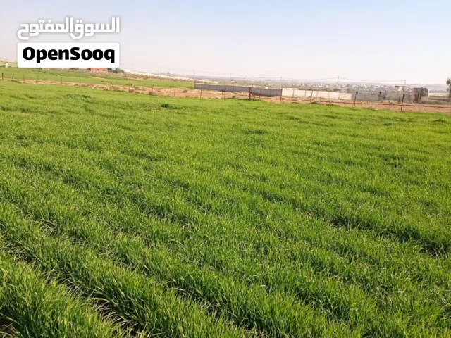 Farm Land for Sale in Mafraq Bala'ama