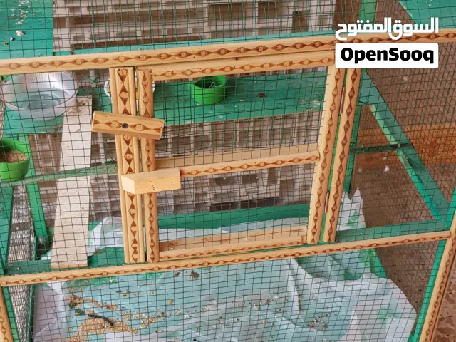 قفص نظيف جدا للبيع