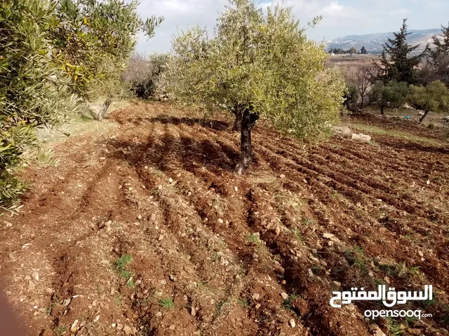 ارض سكنيه مطله على ماحص الفحيص صويلح السلط نقب الدبور العلوي بالقرب من مسجد المصطفى