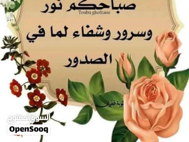 276 m2 5 Bedrooms Villa for Sale in Benghazi Bossneb