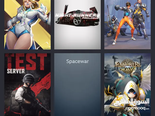 Steam Accounts and Characters for Sale in Amman