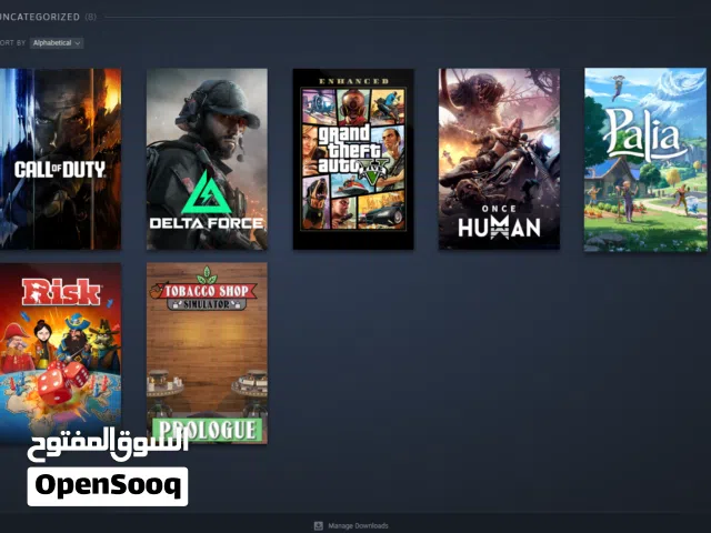 GTA Accounts and Characters for Sale in Northern Governorate