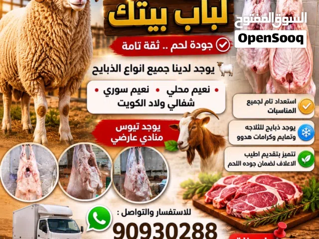 للبيع جميع انواع الذبايح