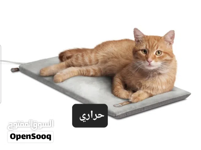 نافورة وبداية حيوانات