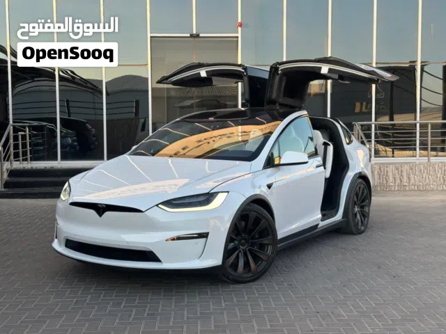 2022 تيسلا موديل X Plaid