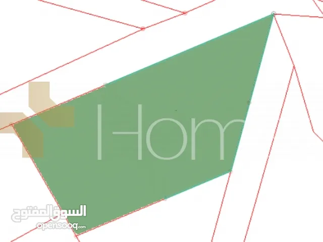 Commercial Land for Sale in Amman Shmaisani