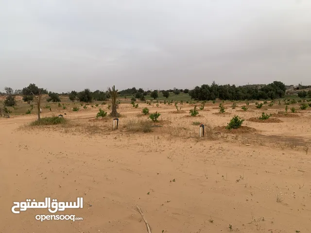 Farm Land for Sale in Zawiya Other