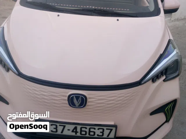 2022 Changan E-Star