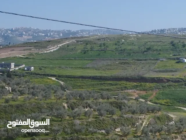 نمرة للبيع