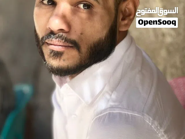 نور مسعد