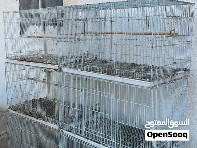 أقفاص حمام محاكر