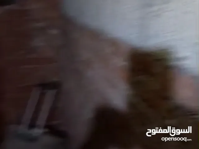 شقة للبيع ميزان مساحة 135 علي الطوبة