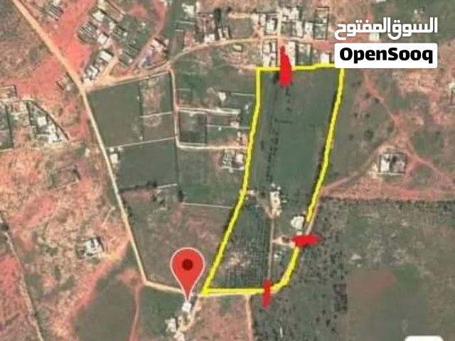 Mixed Use Land for Sale in Benghazi Boatni
