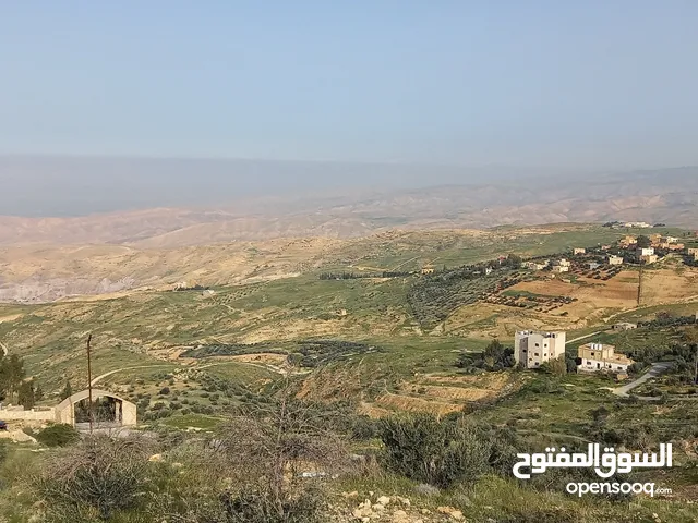 Farm Land for Sale in Amman Naour