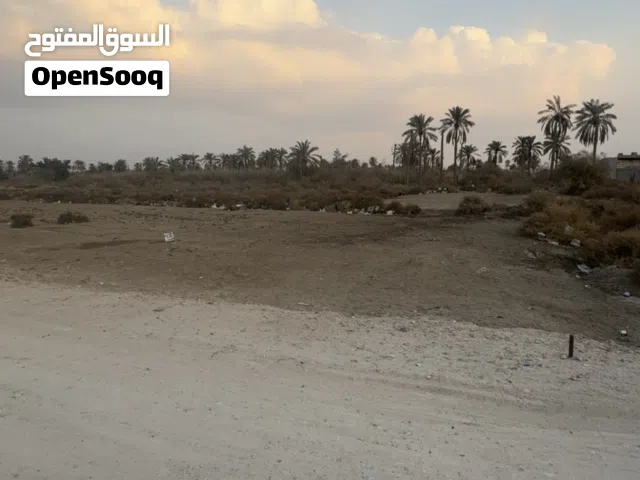 قطعه للبيع في قضاء شط العرب  باب الهوى.الجزيره الرابعه  طابو صرف زراعي سند 25