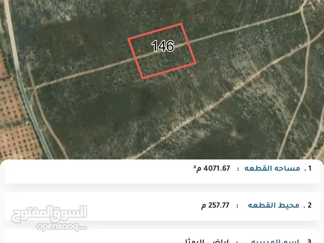 Mixed Use Land for Sale in Ramtha Romtha