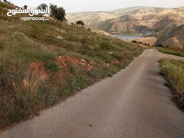 رقم القطعه 320 حوض قبيس اراضي برما مساحة القطاع 9400 يعطيكم العافيه ارض للبيع تصلح للإستثمار مساح